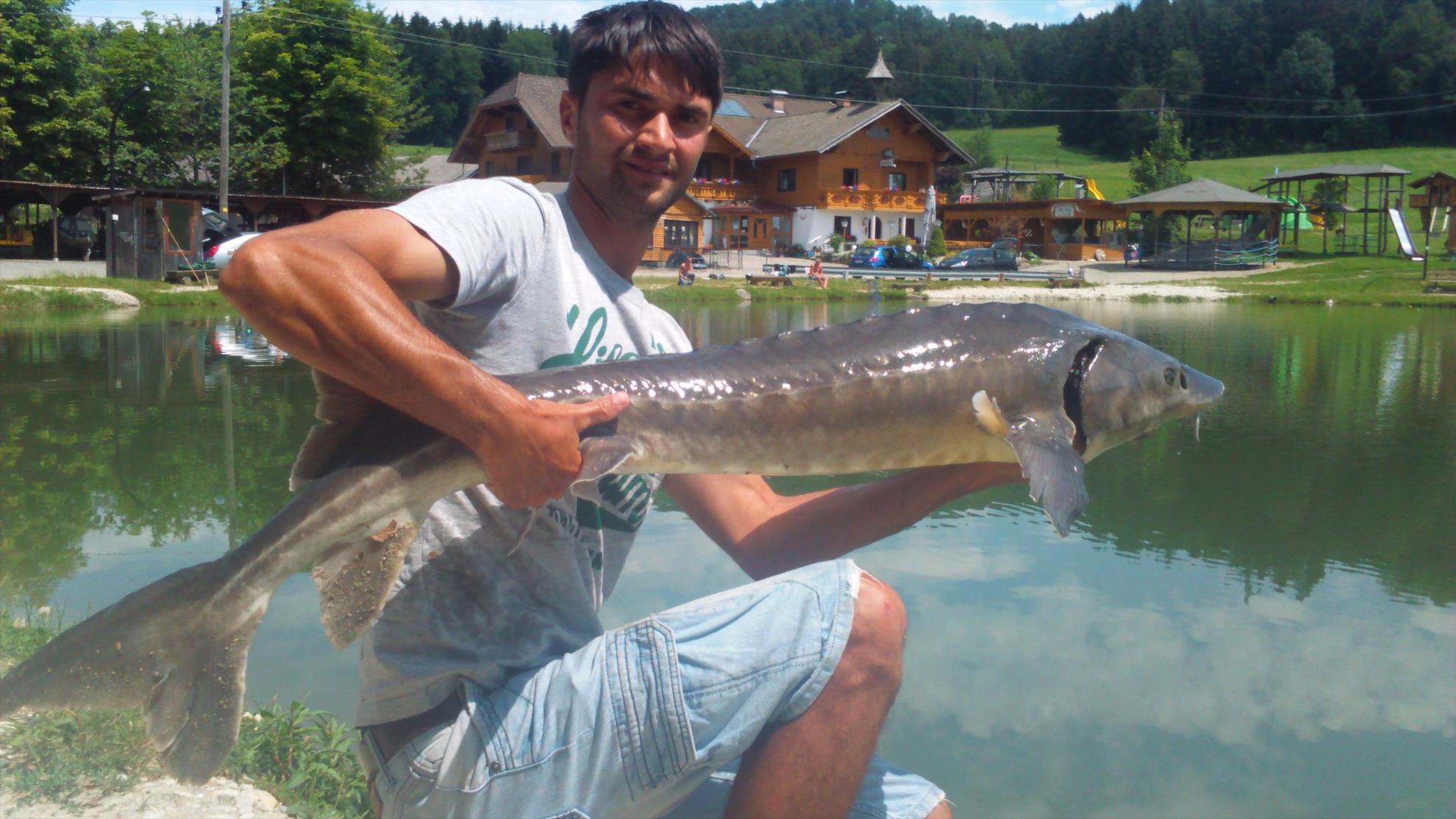 Pescuit Frankenburg  - dsc6843.JPG